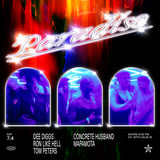 Paradiso: Dee Diggs, Ron Like Hell, Tom Peters + Concrete Husband, Mapamota