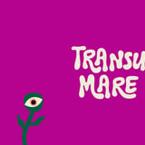 Transumare Fest 2026