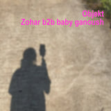 Zohar b2b baby ganoush, Objekt