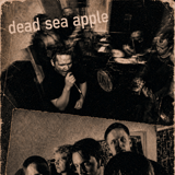 Dead Sea Apple