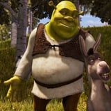 Shrek + Fireworks
