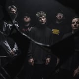 Alpha Wolf | Glasgow