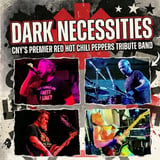 Dark Necessities - CNY's Premier Red Hot Chili Peppers Tribute Band