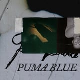 Puma Blue
