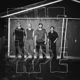 THE APE // Studio USF