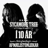Sycamore Tree