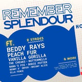 REMEMBER SPLENDOUR | Beddy Rays, Peach Fur, Vanilla Gorilla & more! 