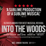 Into The Woods