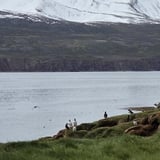 Ferð í Flatey á Skjálfanda