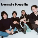 Beach Fossils