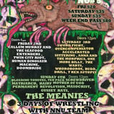 Festy-Ville NO#5