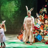 Velveteen Rabbit