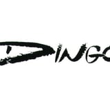 Dingo + Yölintu