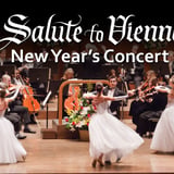 Salute To Vienna