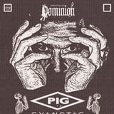 PIG