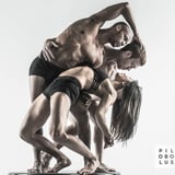 Pilobolus