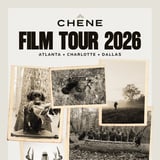 Chêne