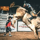 Mile High Bull Bash