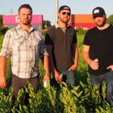 Patrick Bale & The Pale Ales