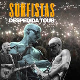 Surfistas del Sistema