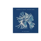 No Sad Songs: Torget / Sevåg albumslipp