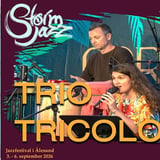 Friluftsjazz: TRIO-TRICOLOR i Borgundgavlen