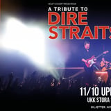 A Tribute to Dire Straits I Uppsala, UKK Stora salen