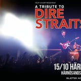A Tribute to Dire Straits I Härnösands Teater
