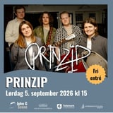 Høstmarkedskonsert med Prinzip