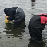Undring i fjæra
