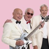 Parkmusiken - Chuck Berry Mania
