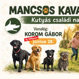 Mancsos Kavalkád // Kutyás családi nap// vendég: Korom Gábor