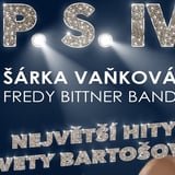 Den města Toužim 2026