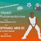 ČEZFEST - Třebíč | Ben Cristovao & MIG 21