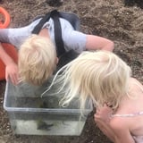 Undring i fjæra