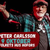 Peter Carlsson & Grå Grodorna