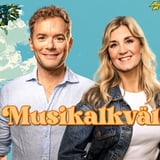 Musikalkväll på Vadstena Slott