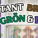Tant Brun, Grön & Lila