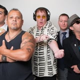 The Dickies
