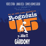 Prognózis45 koncert // Gárdony, P.Mobil tábor
