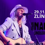 PETER NAGY & INDIGO