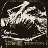 Fossilization Phobocosm Impurist Deathfiend Stitchpicker