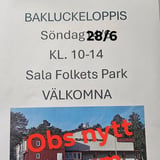 Bakluckeloppis