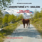 Vandreturné #4 - Haglebu fjellstue 