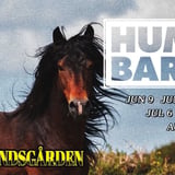 Humorbaren | Jul 6 | Annelundsgården