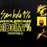 San Holo - Wholesome Riddim
