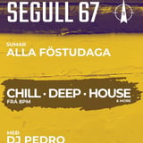 Dj Pedro - Chill - Deep - House - Fridays
