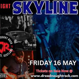 SKYLINE Rock Covers Night