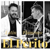 El Perito Cuatro (Picnic Sessions @ Frederiksberg Musikhus Metronomen)