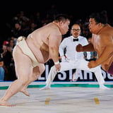 All Star Sumo